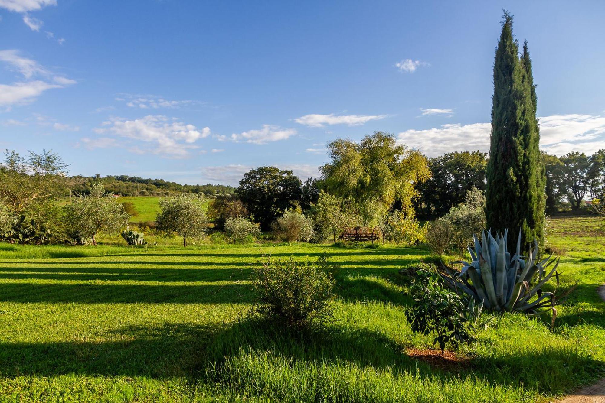 Agriturismo Bio Fattoria Casetta Gavorrano Buitenkant foto