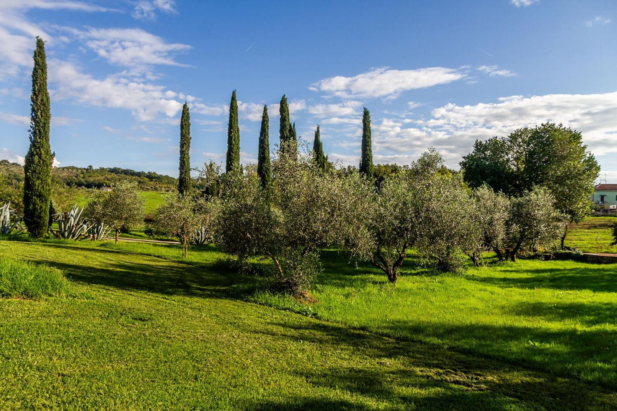Agriturismo Bio Fattoria Casetta Gavorrano Buitenkant foto