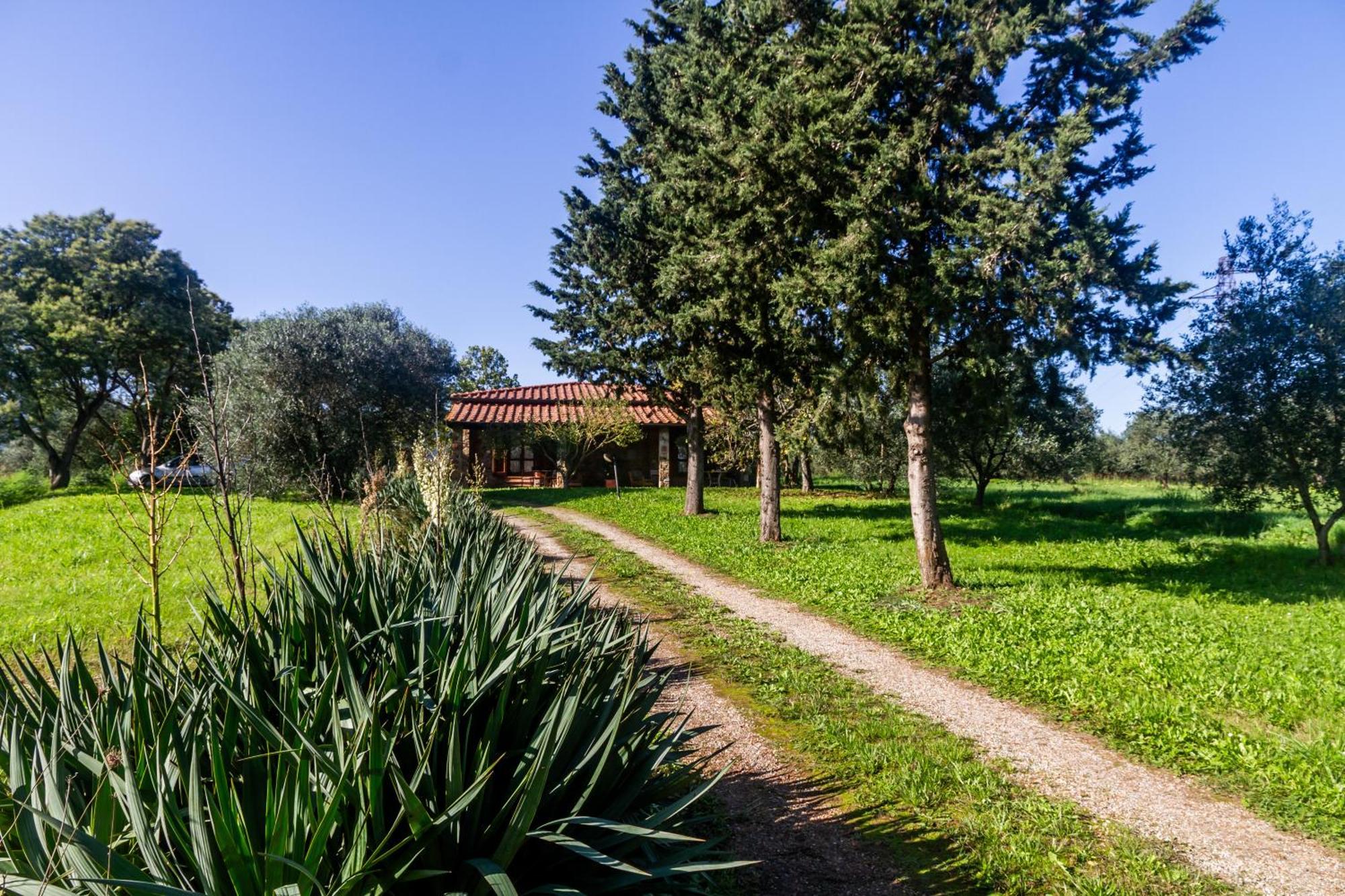 Agriturismo Bio Fattoria Casetta Gavorrano Buitenkant foto
